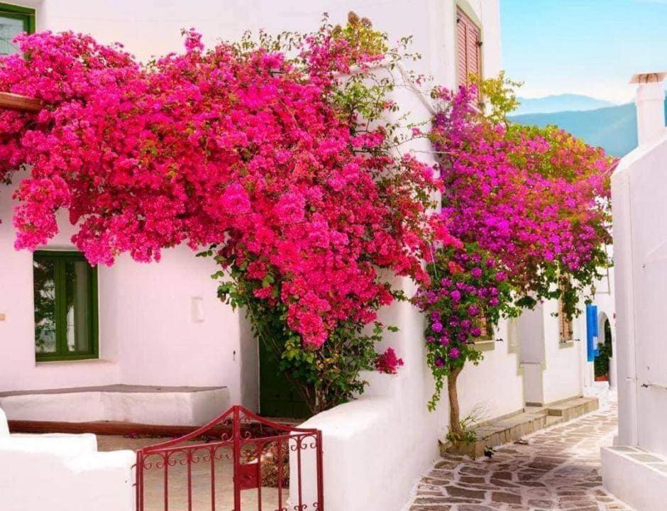 Nafpaktos Apartment And Studios In Port Exterior photo